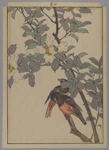白い花を持つ2羽の鳥、明治時代、1892年（色木版画） 作： Japanese School