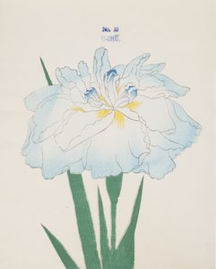 U-Chu, no.25, 1898 
