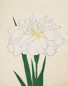Ujaku-No-Nagisa, No. 61, 1890 作： Japanese School