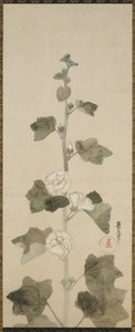 白いタチアオイ、江戸時代、1615〜1868年（紙にインク、色合い、金） 作： Japanese School