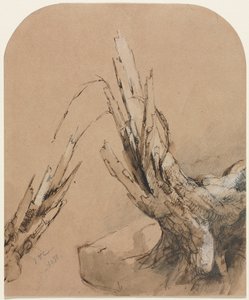 爆破された木、1851年。 作： Jasper Francis Cropsey