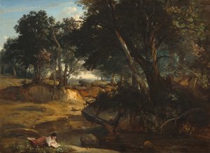フォンテーヌブローの森 作： Jean-Baptiste-Camille Corot