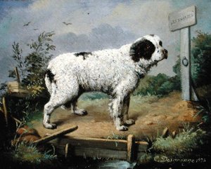 堤防の上のニューファンドランド（A Newfoundland on an Embankment 作： Jean Baptiste Desgrange