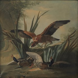 アヒルのつがいを突くタカ 作： Jean-Baptiste Oudry