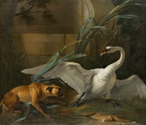 犬に襲われた白鳥