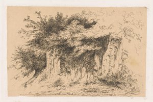 土壁の低木 作： Jean Alexis Achard