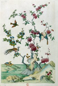 中国の花瓶からのドローイング：鳥と花。ジャン・アントワーヌ・フレイズの絵画（18世紀