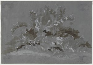 雑草の研究 作： Jean Antoine Linck
