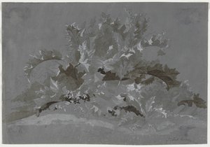 雑草の研究、1800-1850。 作： Jean Antoine Linck