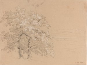 パノラマ風景の前の太陽に照らされた木々 作： Jean Antoine Linck