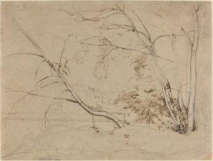 チヴィタ カステリャーナの木々 作： Jean Baptiste Camille Corot