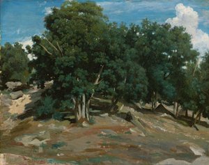フォンテーヌブロー：1832-3バスローのオークの木（紙に油彩、木材に敷設） 作： Jean Baptiste Camille Corot