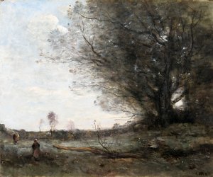 ブナの木」1816-1875年