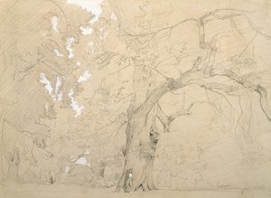 樫の木の前の若い男」1840年頃（紙に鉛筆とガッシュ 作： Jean Baptiste Camille Corot