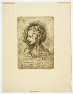 女性の頭 作： Jean Baptiste Carpeaux