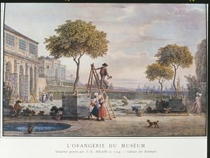 1794年にパリの美術館でオランジェリー