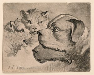 猫と犬の頭 作： Jean Baptiste Huet
