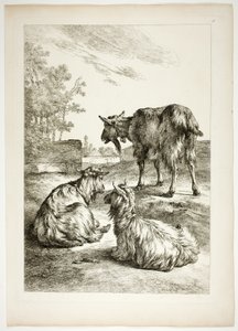 Oeuvres de J. B. Huet からのプレート 18/38 作： Jean Baptiste Huet