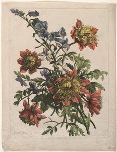 花束 作： Jean Baptiste I Monnoyer