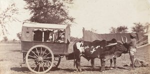 [総督府キャンプのシグラムの中のキャンベル・ツインズ】1858-61年。