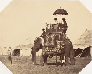 [レディ・カニング】1858-61年 作： Jean Baptiste Oscar Mallitte