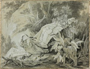 犬に襲われた野生の白鳥 作： Jean Baptiste Oudry