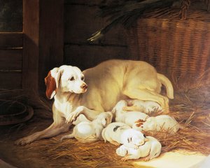 ジャン＝バティスト・オードリー（1686-1755）作「Lise et ses petits」の細部「子犬をあやす雌犬」（フランス 作： Jean Baptiste Oudry
