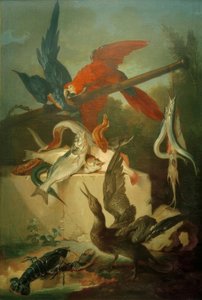 魚、海鳥、オウム 作： Jean Baptiste Oudry