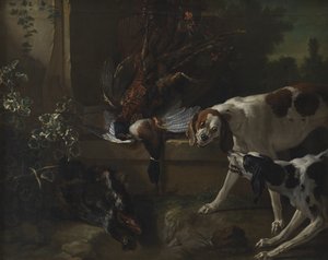 野鳥と狩猟犬の猟犬