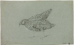 ヤマウズラ 作： Jean Baptiste Oudry