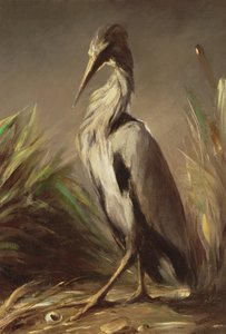 不明な画像 作： Jean Baptiste Oudry