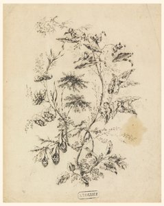 幻想的な木の枝 作： Jean Baptiste Pillement