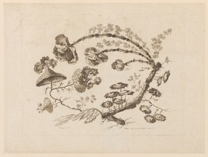 花を買った、「中国の味のさまざまな幻想の花のコレクション」より 作： Jean Baptiste Pillement