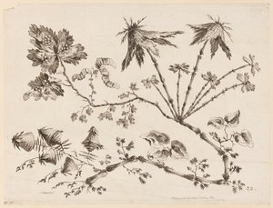 花を買った、「中国の味のさまざまな幻想の花のコレクション」より 作： Jean Baptiste Pillement