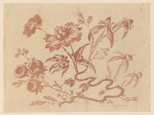 花を買った、「中国の味のさまざまな幻想の花のコレクション」より 作： Jean Baptiste Pillement