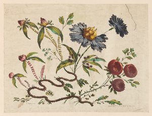 花を買った、「中国の味のさまざまな幻想の花のコレクション」より