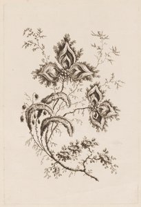 「フルール・ペルサンヌ」より 花の枝 作： Jean Baptiste Pillement