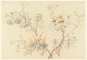 開花枝 作： Jean Baptiste Pillement