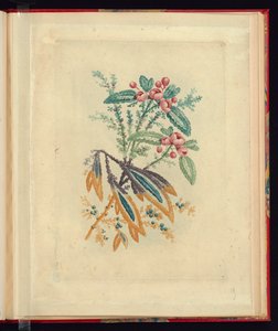 製図工・画家用の新生花帖より 赤い小さな花と実の装飾文様 No.1 作： Jean Baptiste Pillement