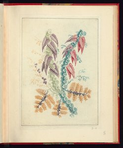 下絵師用新生花帖 No.1 三角紫紅葉の装飾文様 作： Jean Baptiste Pillement