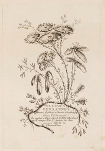 タイトルページ、「ペルシャの花」より 作： Jean Baptiste Pillement