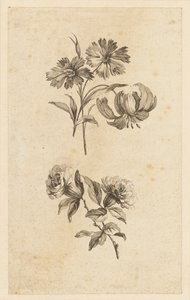 2 つの花の小枝 作： Jean Baptiste Pillement