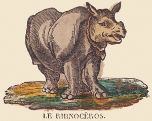 サイ 1840-1852年頃（リトグラフ） 作： Jean Baptiste Thiebault