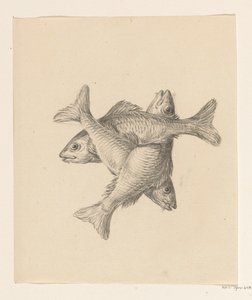十字に並べた3匹の魚