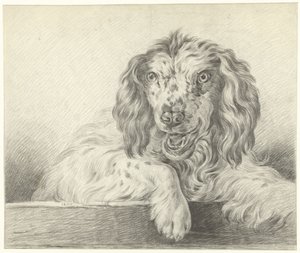 犬 作： Jean Bernard