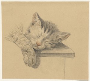 眠っている猫の頭と足