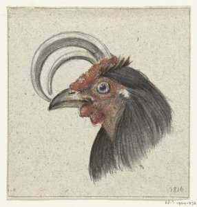 オンドリの頭 作： Jean Bernard