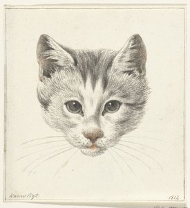 ろうそくの明かりで正面から見た猫の頭 作： Jean Bernard