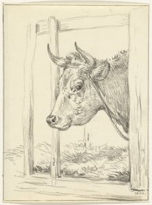 馬小屋の牛の頭、左側