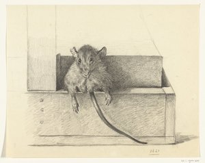 ねずみ（罠？） 作： Jean Bernard